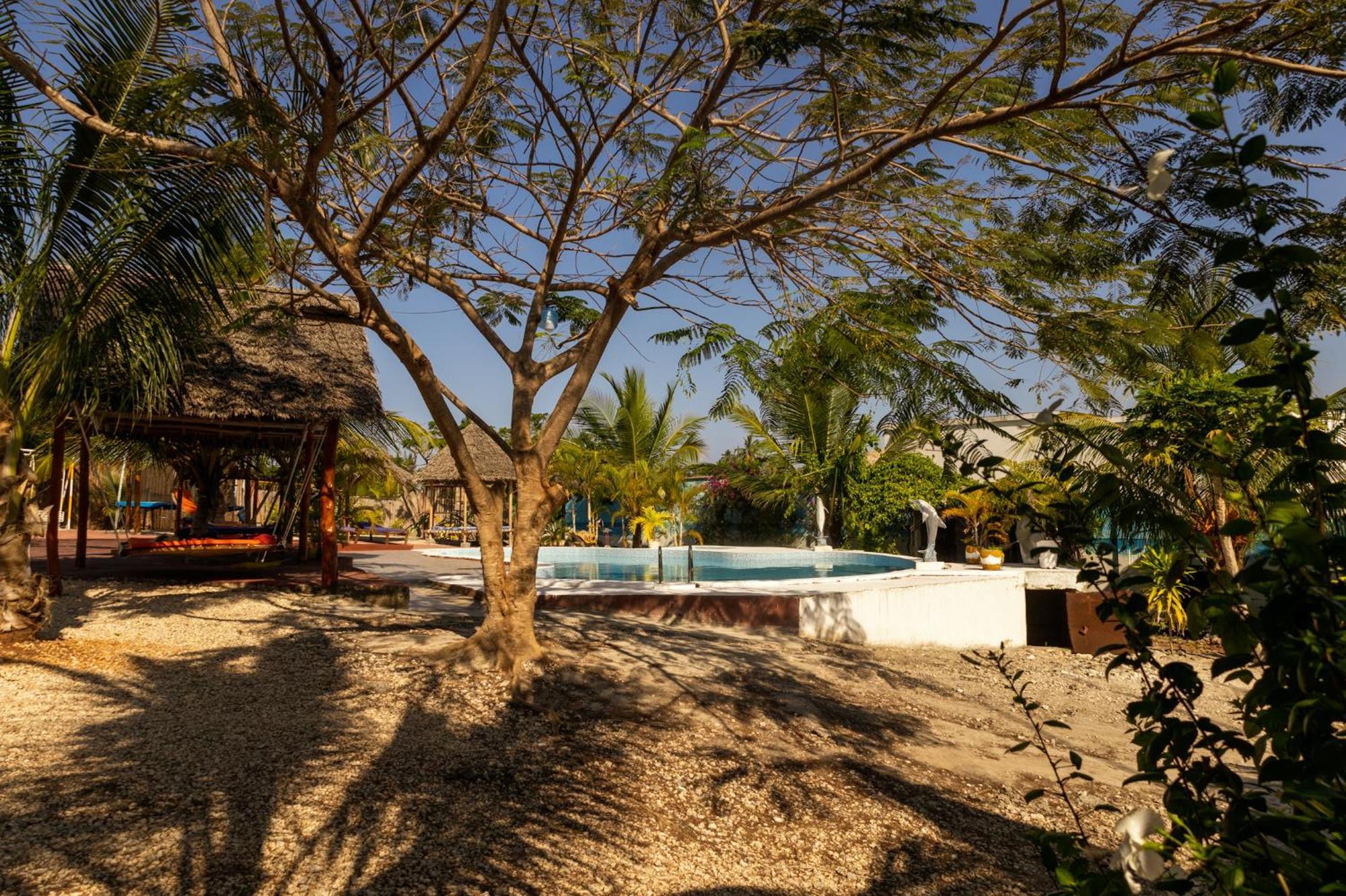 Apartment White Pearl Kiwengwa (Zanzibar)